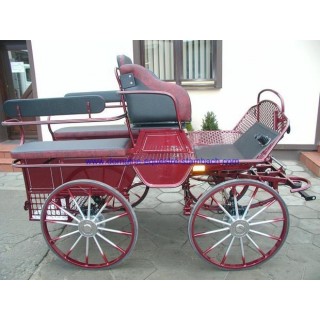 marathon training chevaux ou cob