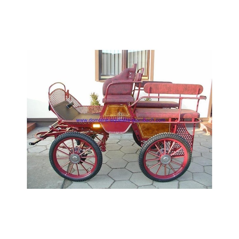 marathon attelage equestre loisir cheval