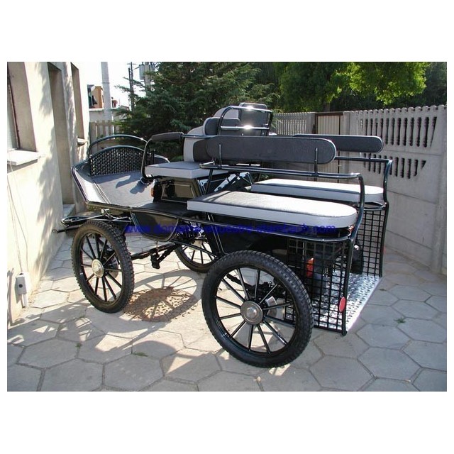 marathon loisir cheval roue pneumatique