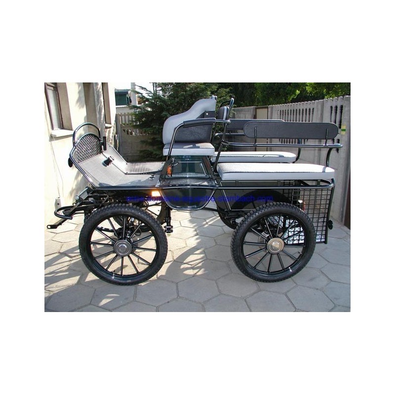 marathon loisir cheval roue pneumatique