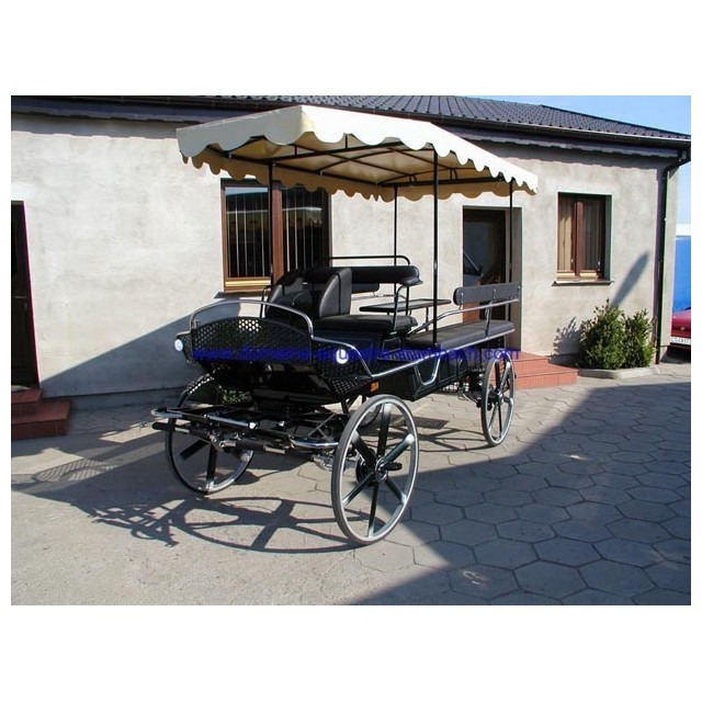 caleche marathon loisir cheval