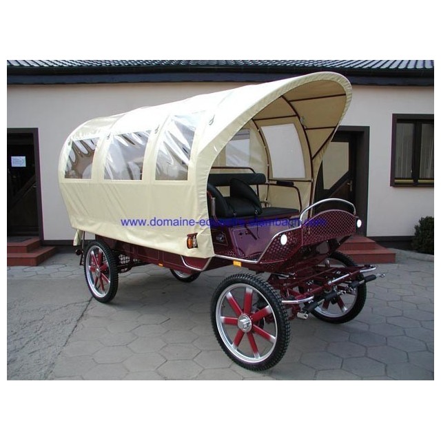 wagonette pour chevaux avec éclairage
