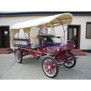 wagonette pour chevaux avec éclairage