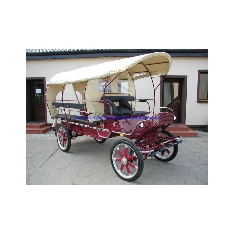 wagonette pour chevaux avec éclairage