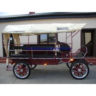wagonette pour chevaux avec éclairage