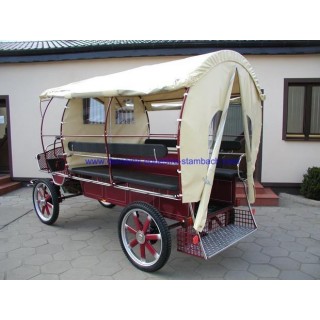 wagonette pour chevaux avec éclairage