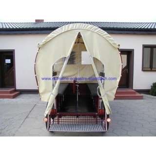 wagonette pour chevaux avec éclairage