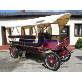 wagonette pour chevaux avec éclairage