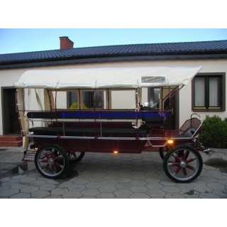 wagonette pour chevaux avec éclairage