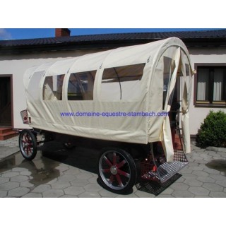 wagonette pour chevaux avec éclairage