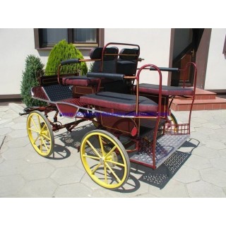 Voiture attelage training poney