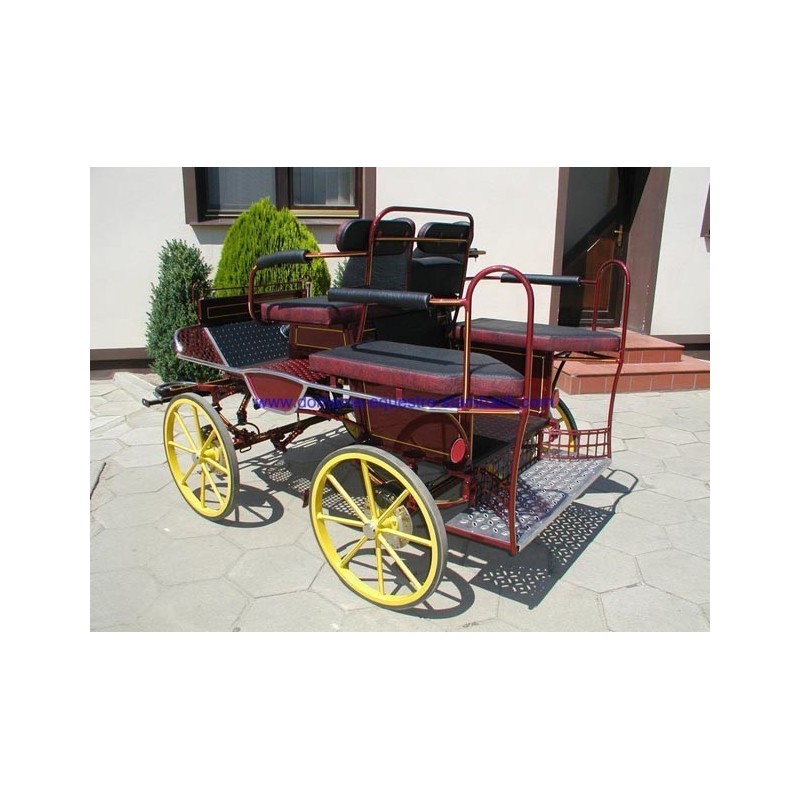 Voiture attelage training poney