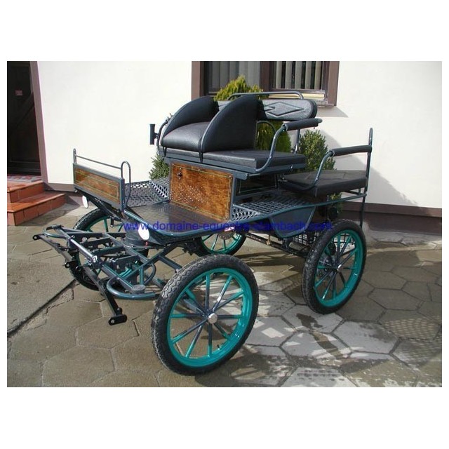 Voiture attelage training poney