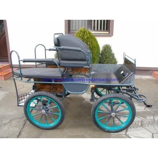 Voiture attelage training poney