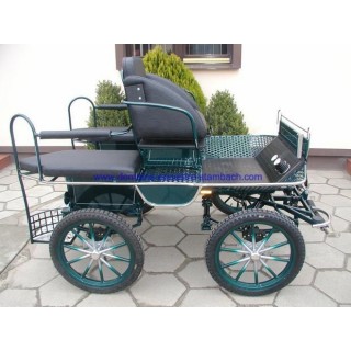 voiture attelage marathon loisir poney
