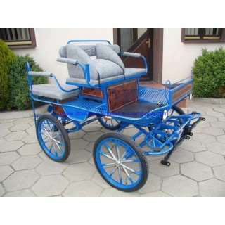 voiture attelage marathon loisir poney