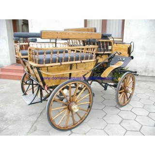 véhicule voiture hippomobile wagonnette attelage chevaux