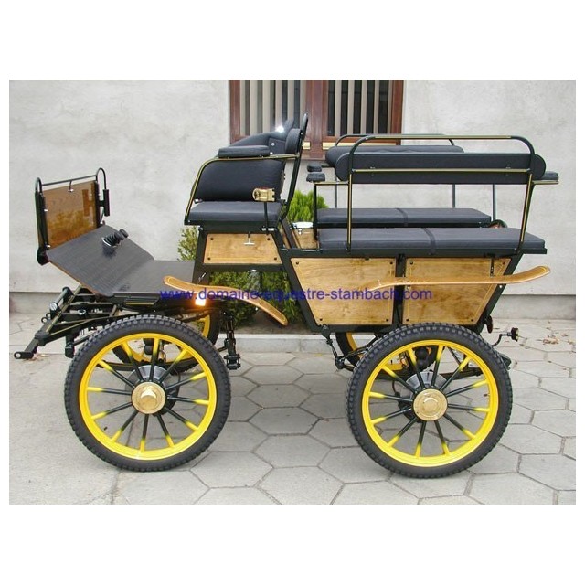voiture hippomobile wagonnette école pour atteler des poneys