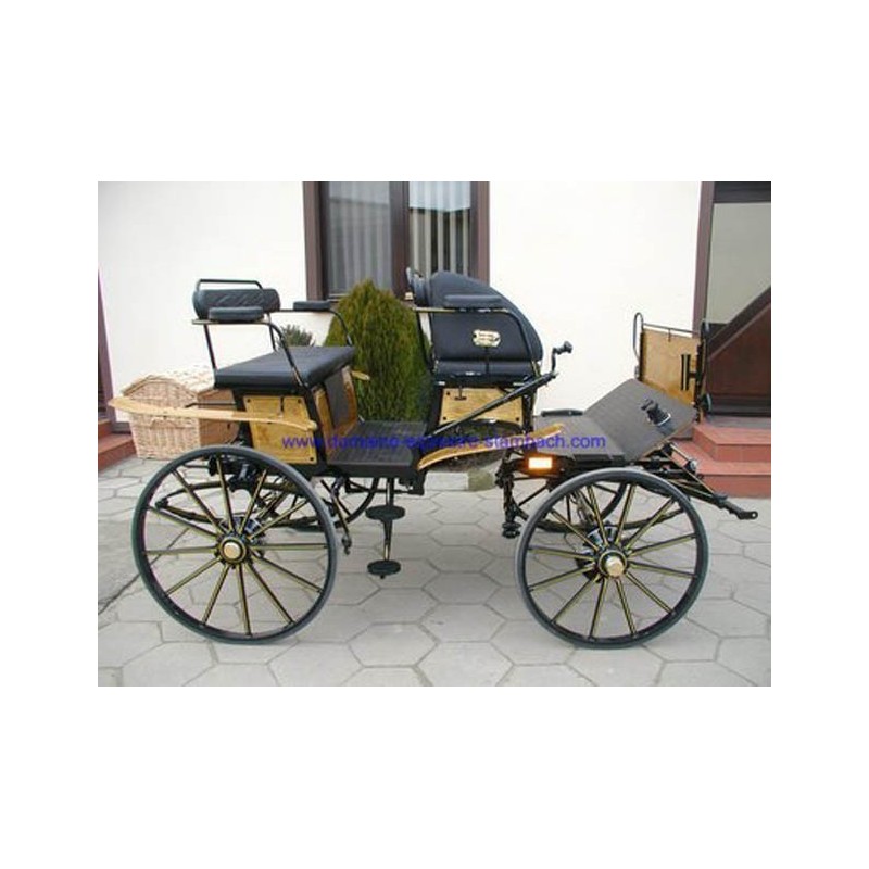véhicule attelage jagdwagen