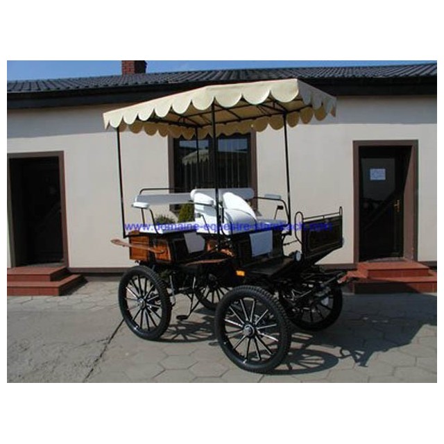 véhicule hippomobile jagdwagen