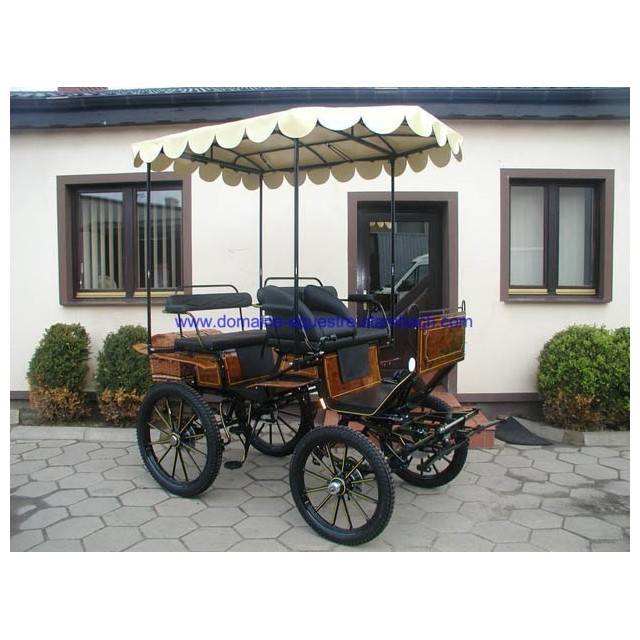 jagdwagen de Stambach