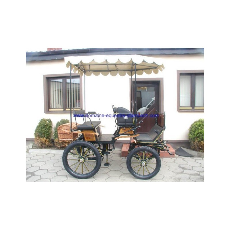 jagdwagen de Stambach