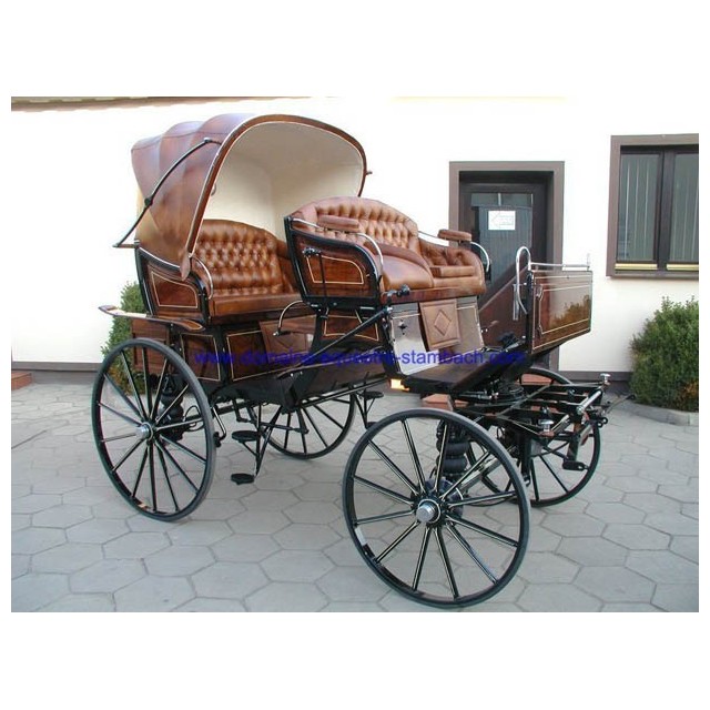 Jagdwagen dominiak