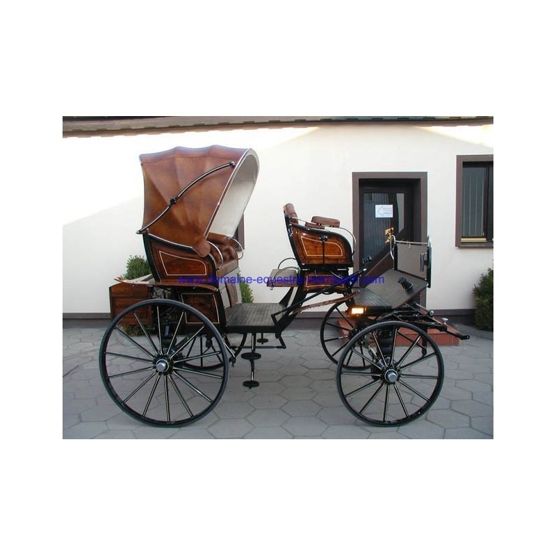 Jagdwagen dominiak