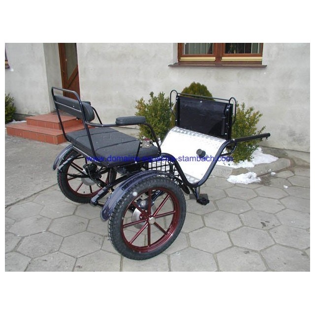 gig 2 roues pour poneys ou cheval