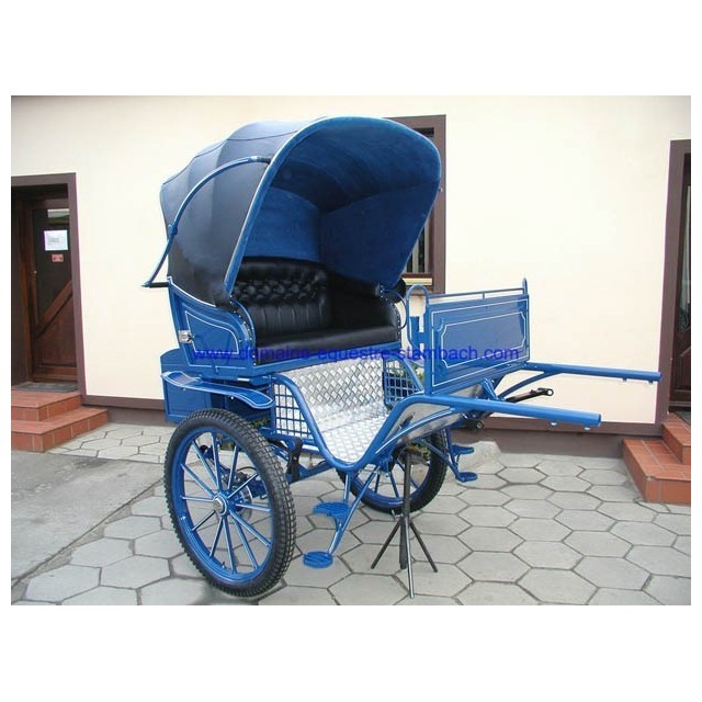 gig ou sulky hippomobile attelage poney anes