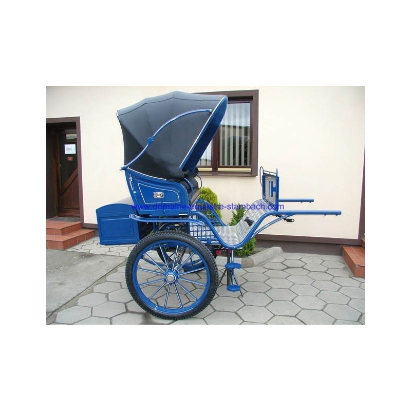 gig ou sulky hippomobile attelage poney anes
