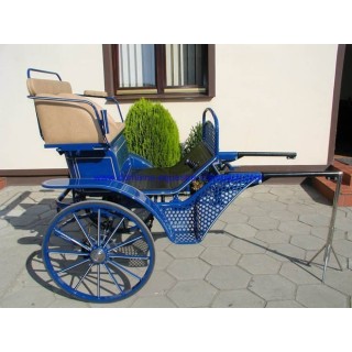 gig marathon cheval dominiak