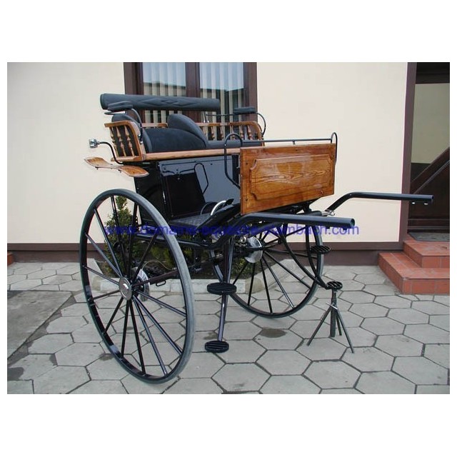 gig ou sulky hippomobile dominiak attelage poney anes