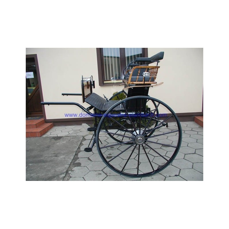 gig ou sulky hippomobile dominiak attelage poney anes