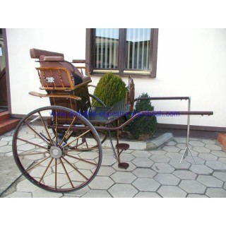 gig ou sulky hippomobile dominiak attelage poney anes
