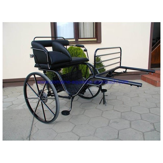gig ou sylky hippomobile attelage poney anes