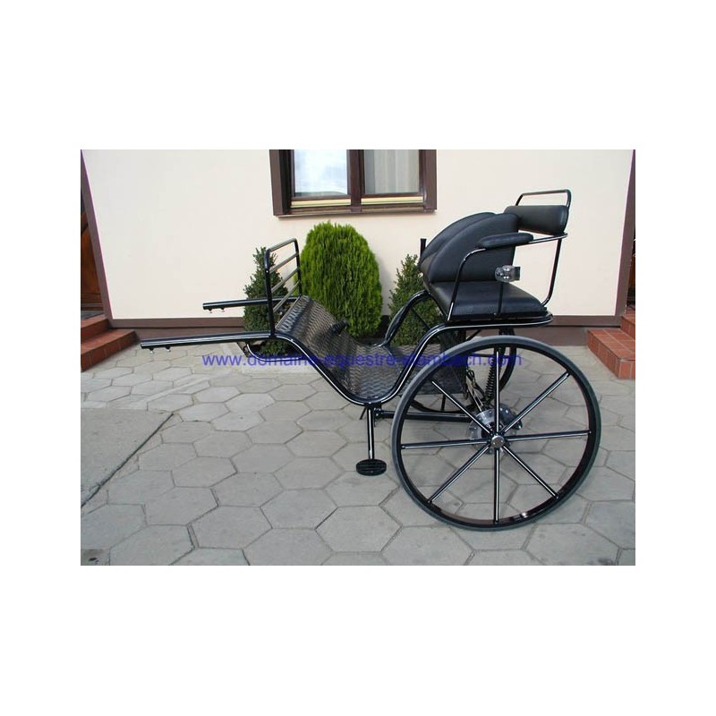 gig ou sylky hippomobile attelage poney anes