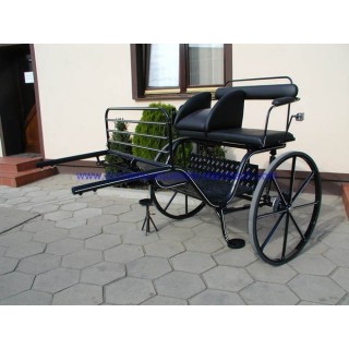 gig ou sylky hippomobile attelage poney anes