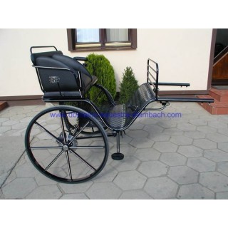 gig ou sylky hippomobile attelage poney anes
