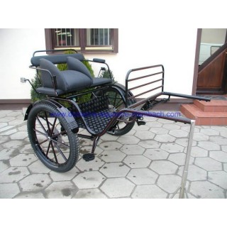 gig ou sylky hippomobile attelage poney anes
