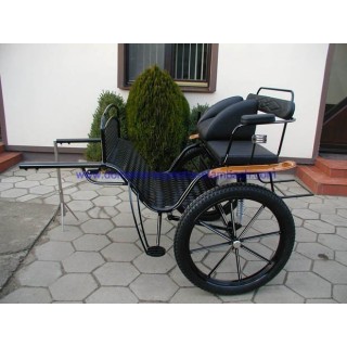 gig ou sylky hippomobile attelage poney anes