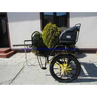 gig ou sylky hippomobile attelage poney anes