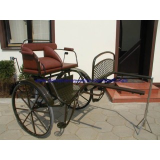 gig ou sylky hippomobile attelage poney anes
