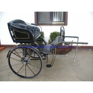 gig ou sylky hippomobile attelage poney anes