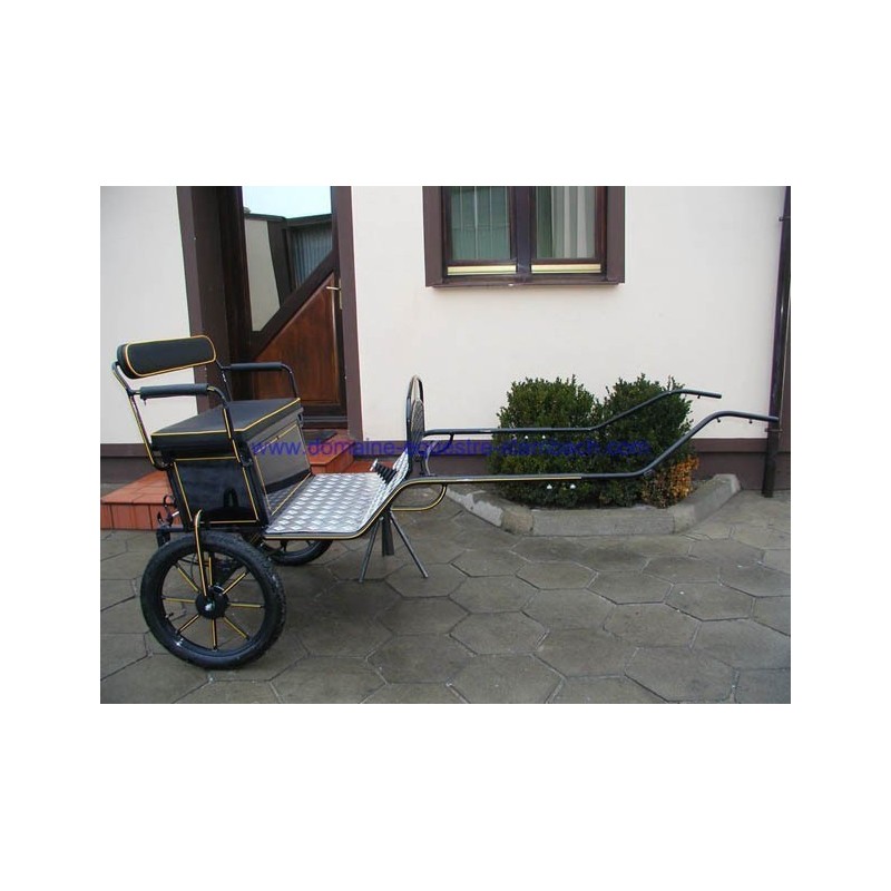 gig ou sylky hippomobile attelage poney anes
