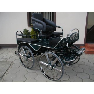 voiture attelage hippomobile marathon sport compétition