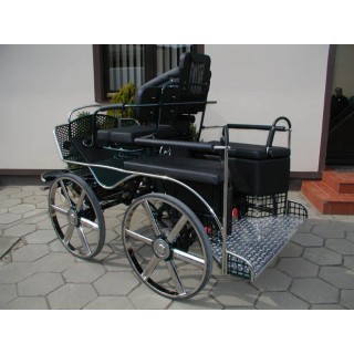 voiture attelage hippomobile marathon sport compétition