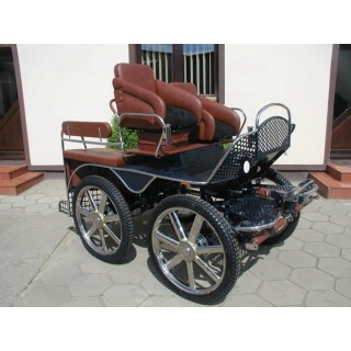 voiture attelage hippomobile marathon sport compétition