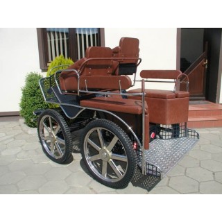 voiture attelage hippomobile marathon sport compétition