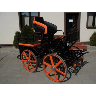voiture attelage hippomobile marathon sport compétition